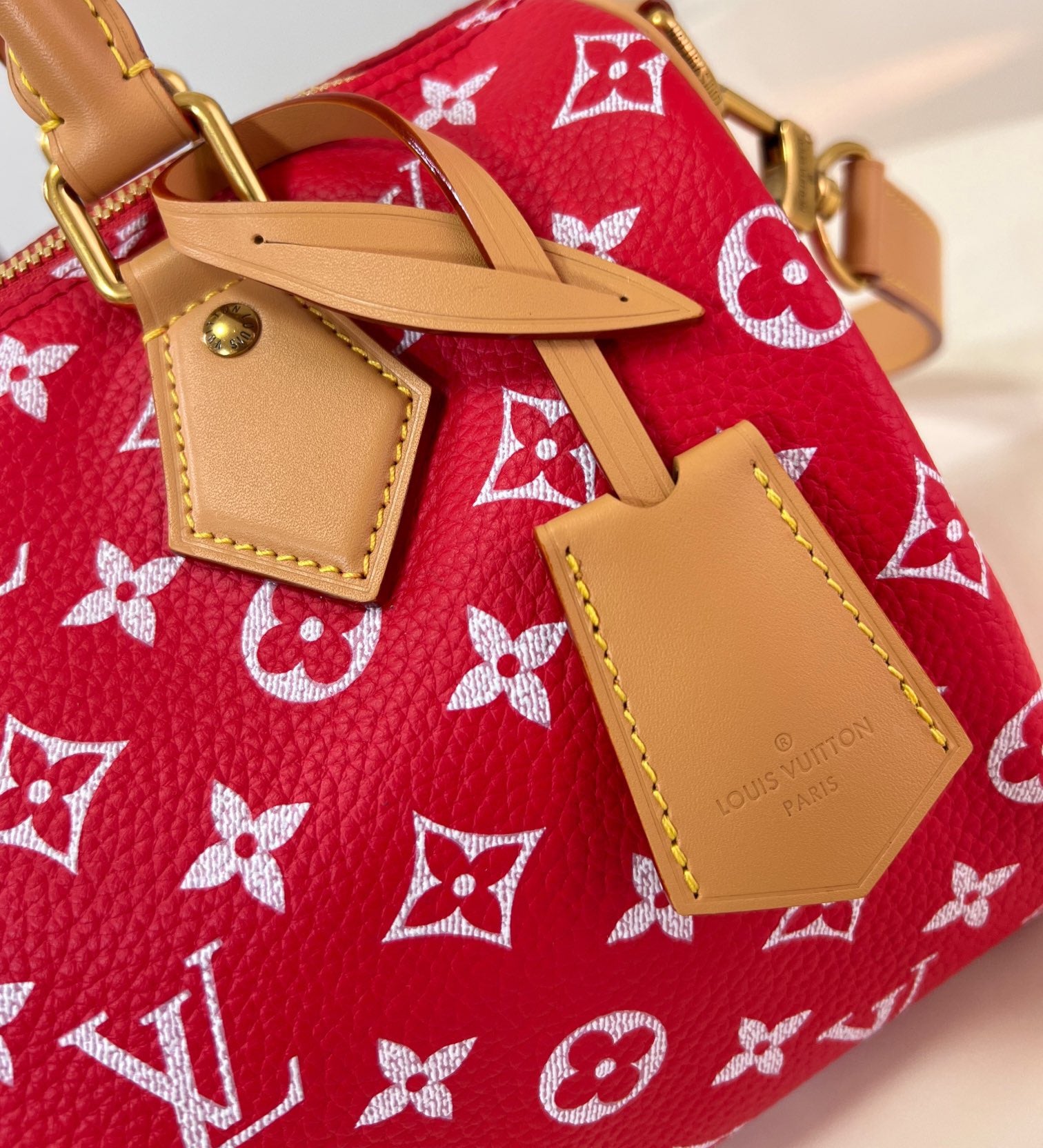 LV speedy P9 shoulder bag