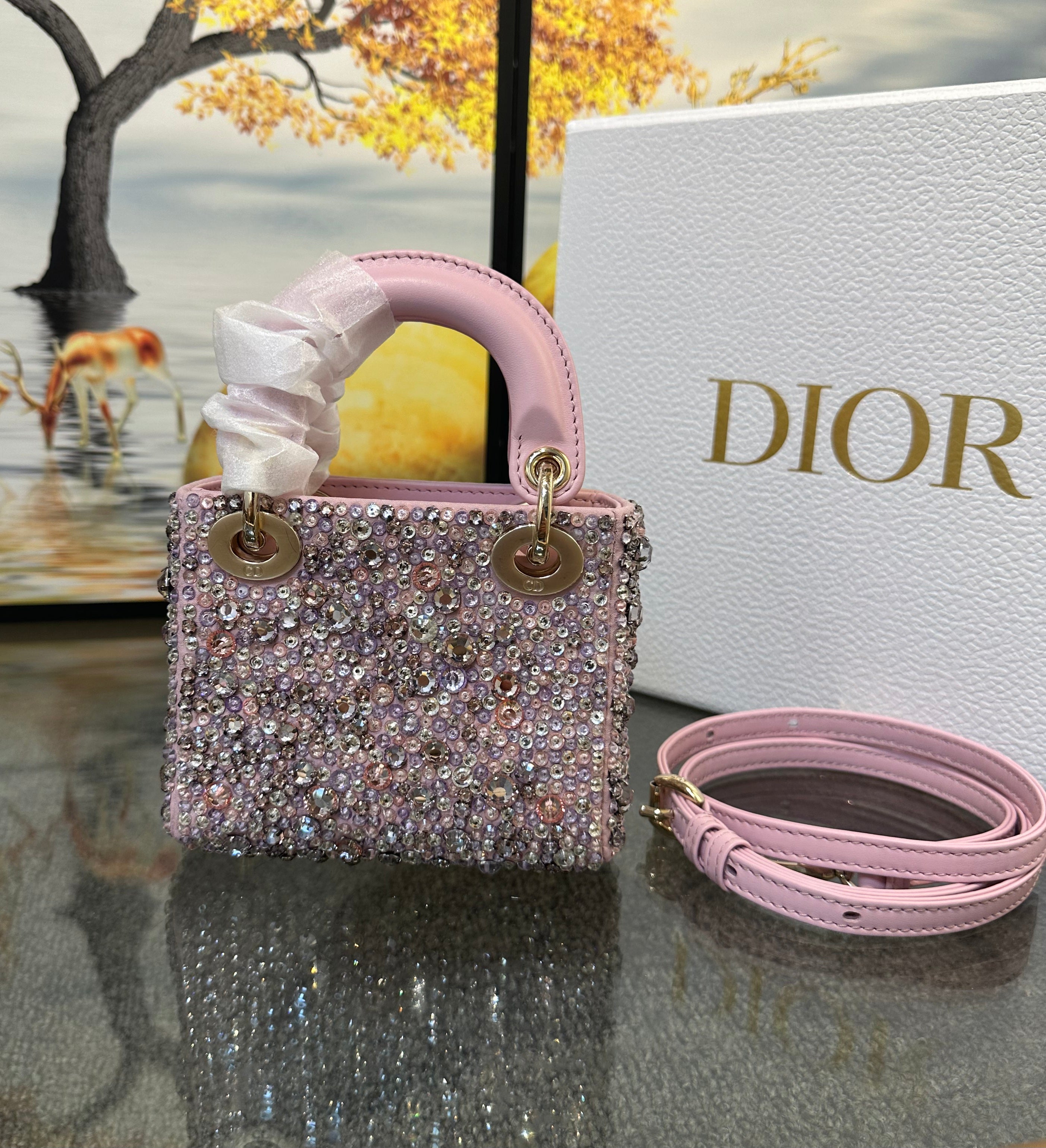 Dior Mini Lady Dior Crystal Embellished Bag