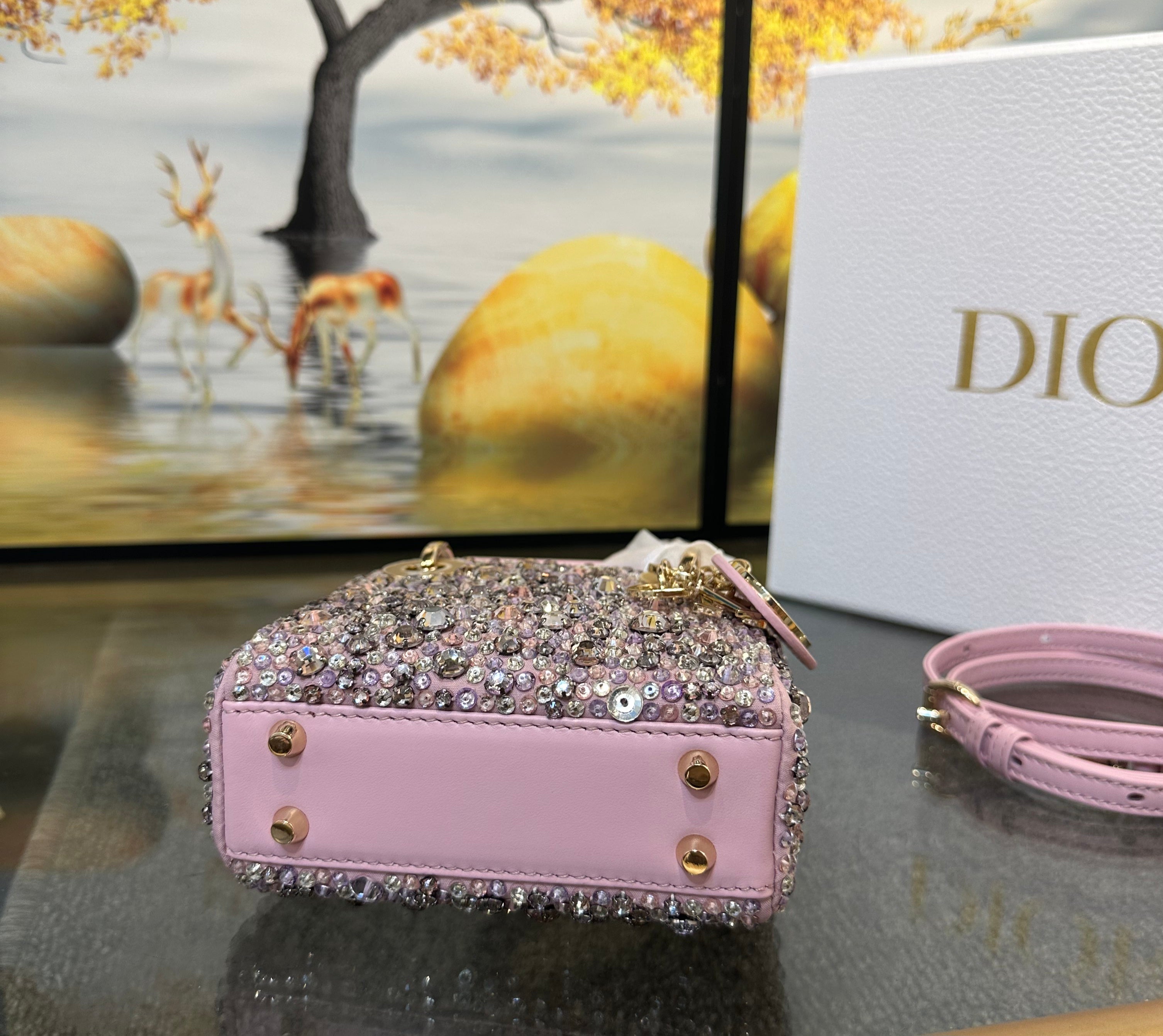 Dior Mini Lady Dior Crystal Embellished Bag