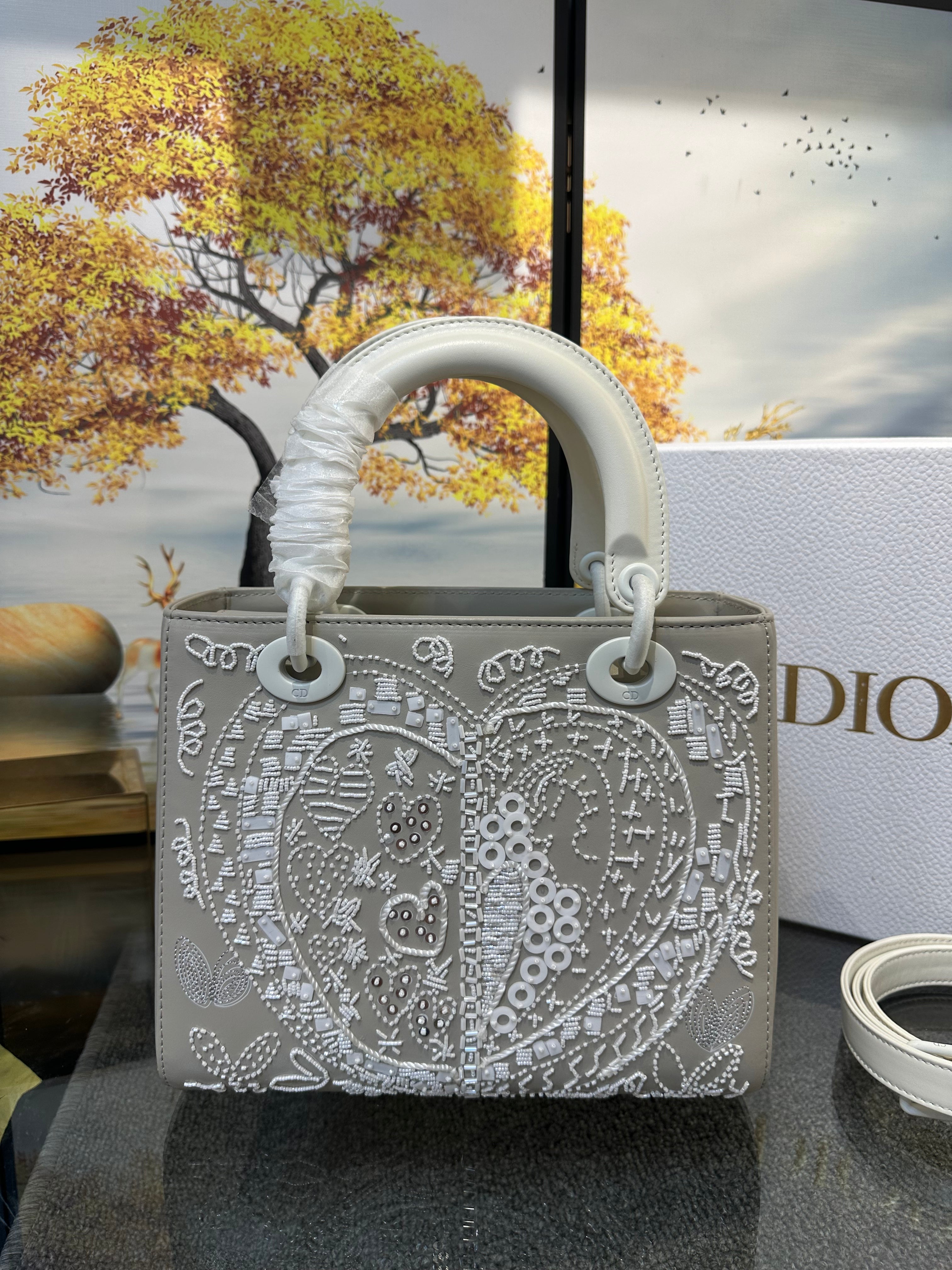 Lady dior bag in 24cm