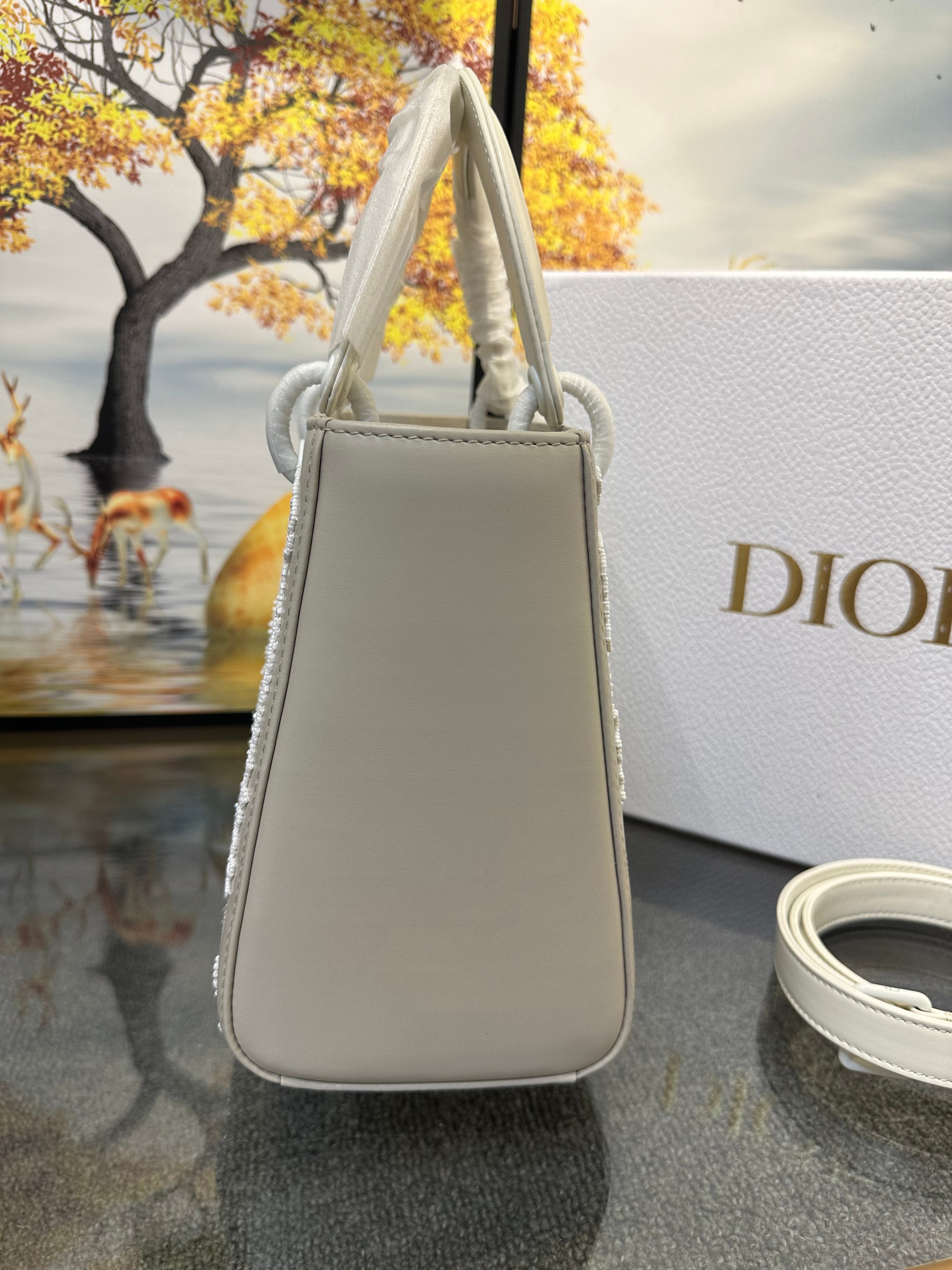 Lady dior bag in 24cm