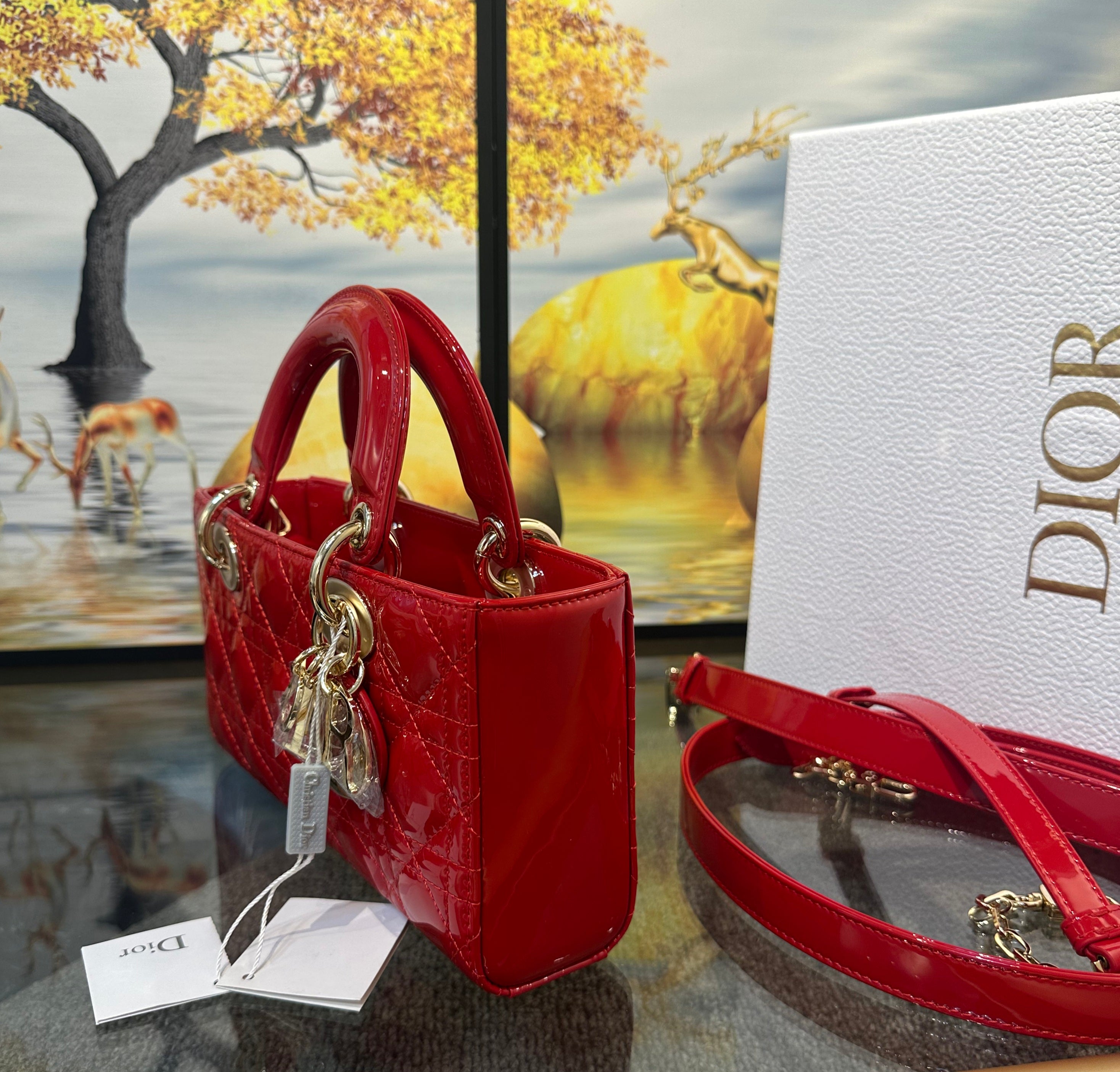 Dior Small Lady D-Joy bag