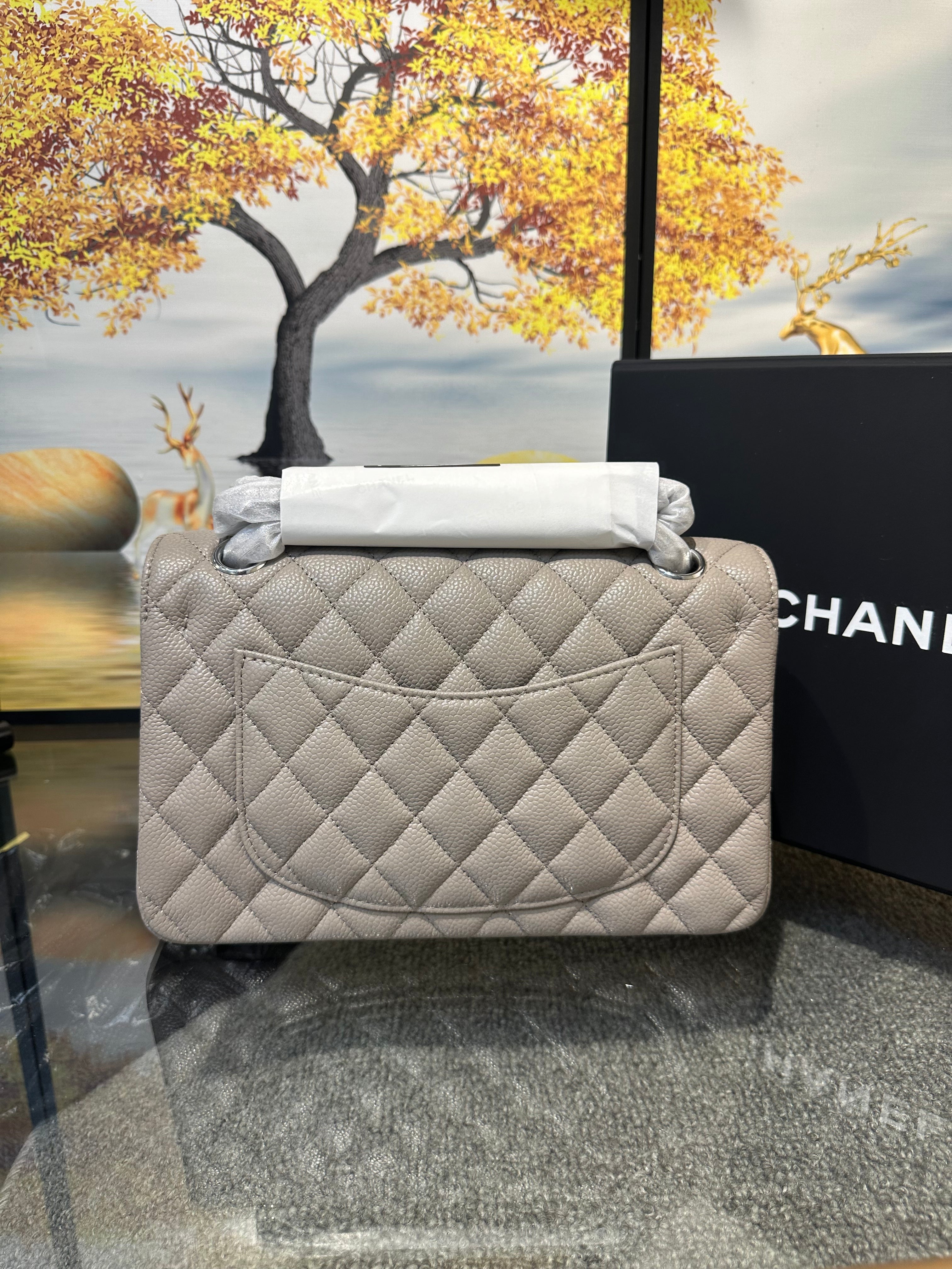 Chanel flap bag 25cm