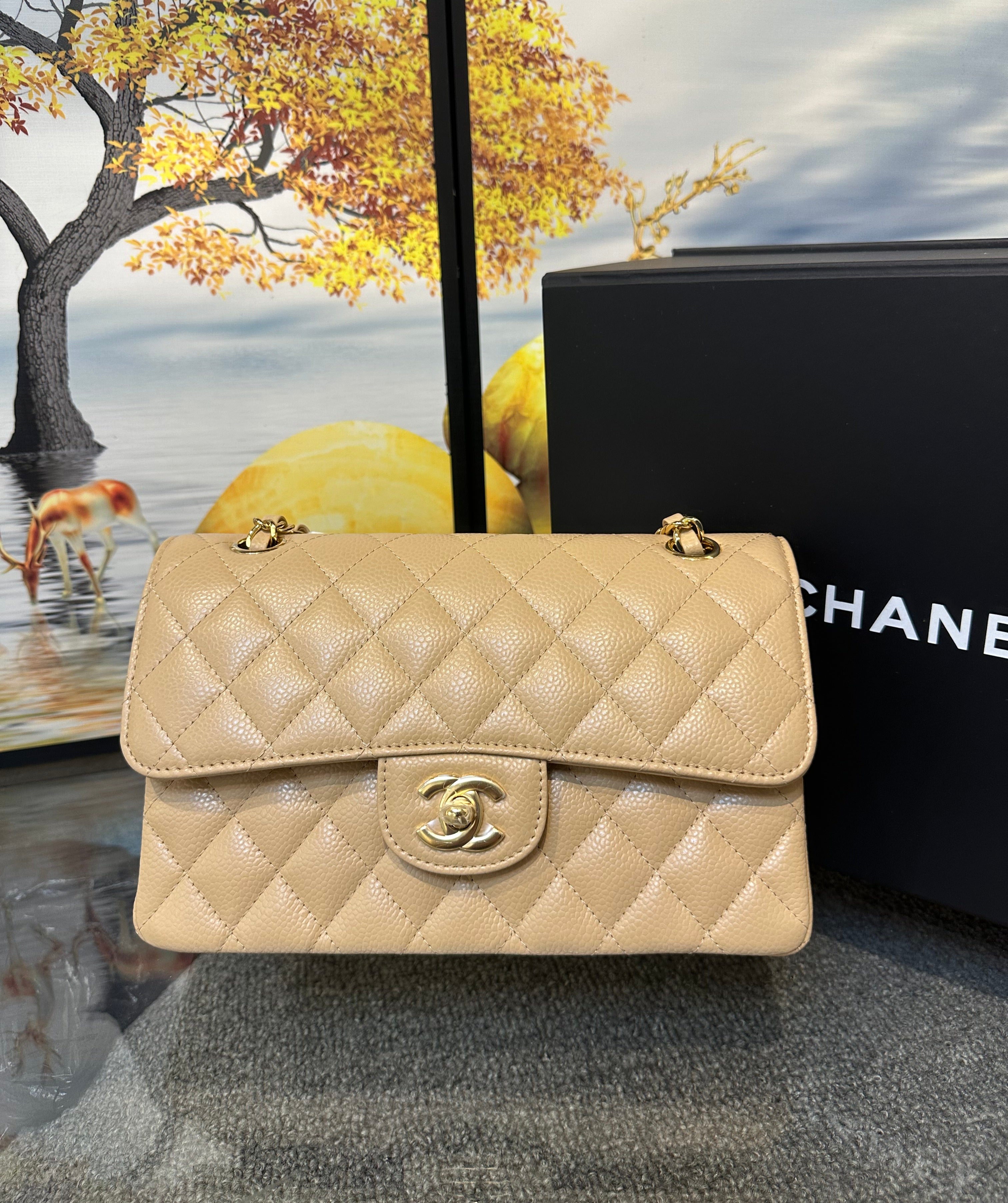 Chanel flap bag