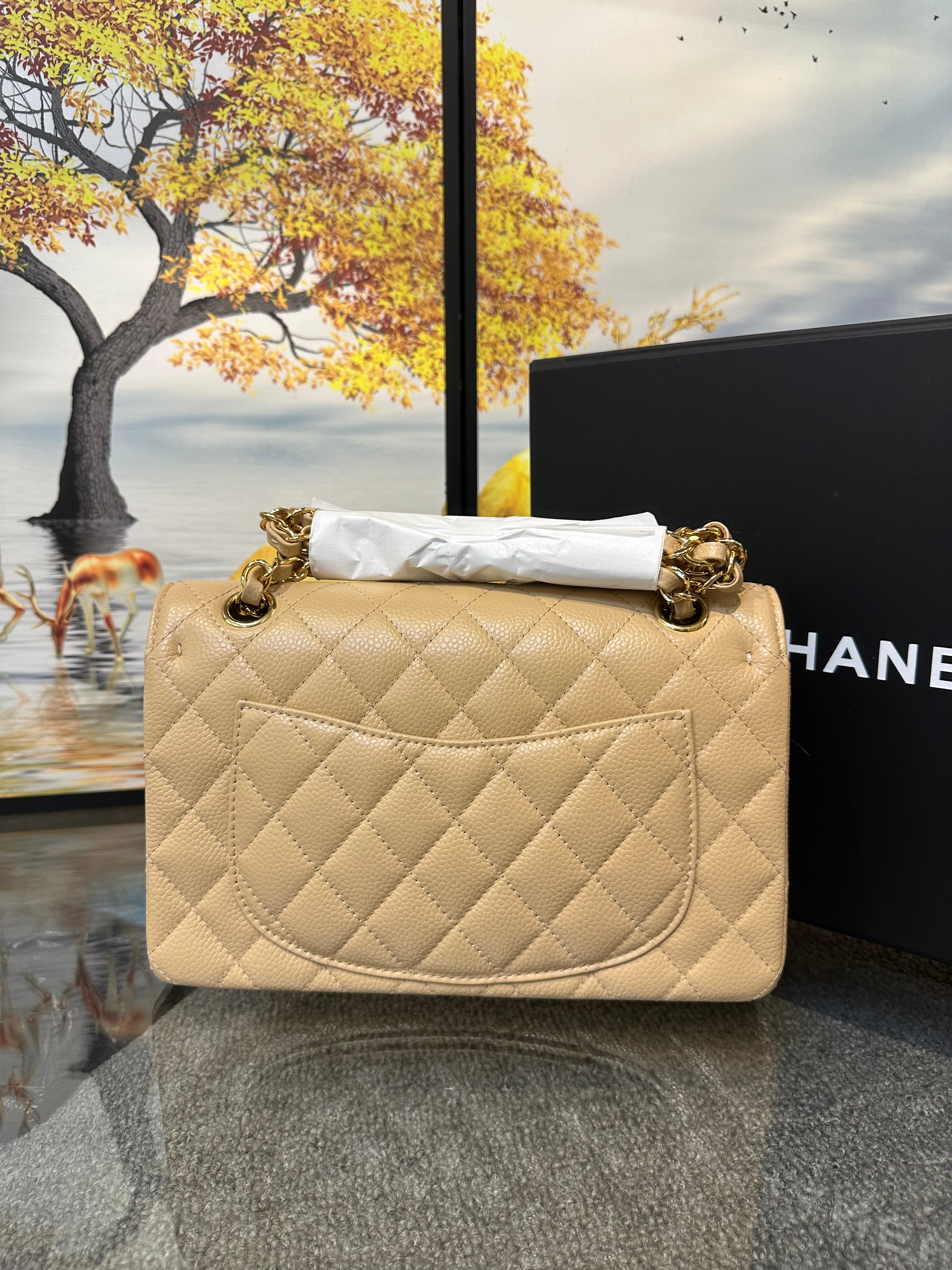 Chanel double flap bag