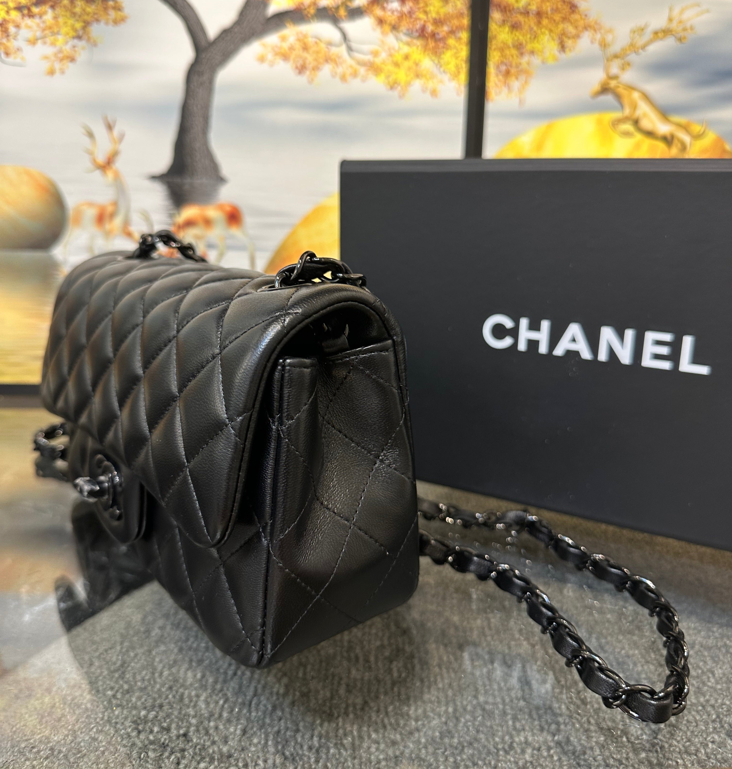 Chanel Small Classic Handbag 20cm