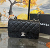 Chanel Small Classic Handbag 20cm