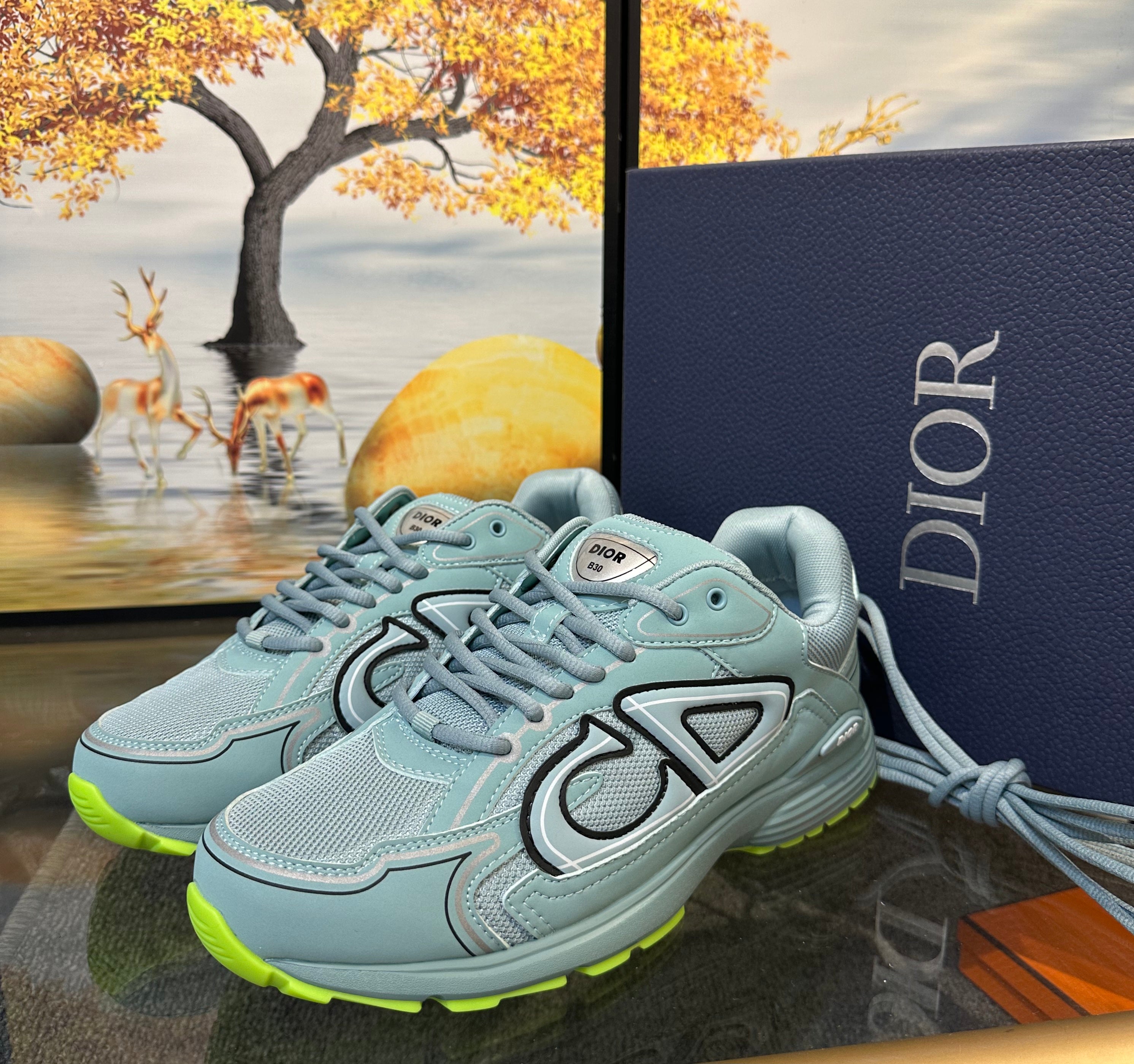 DIOR B30 Sneaker