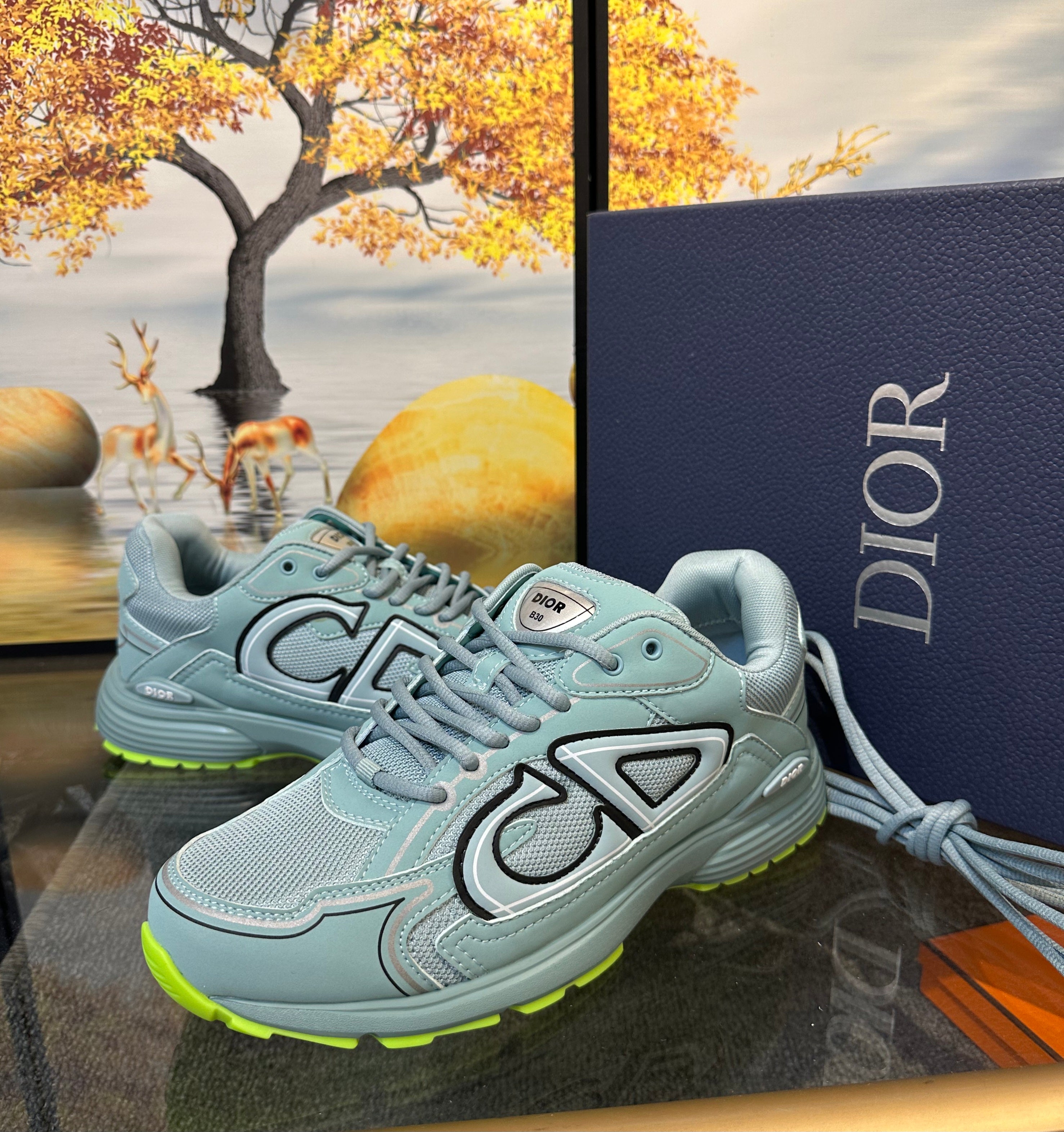 DIOR B30 Sneaker