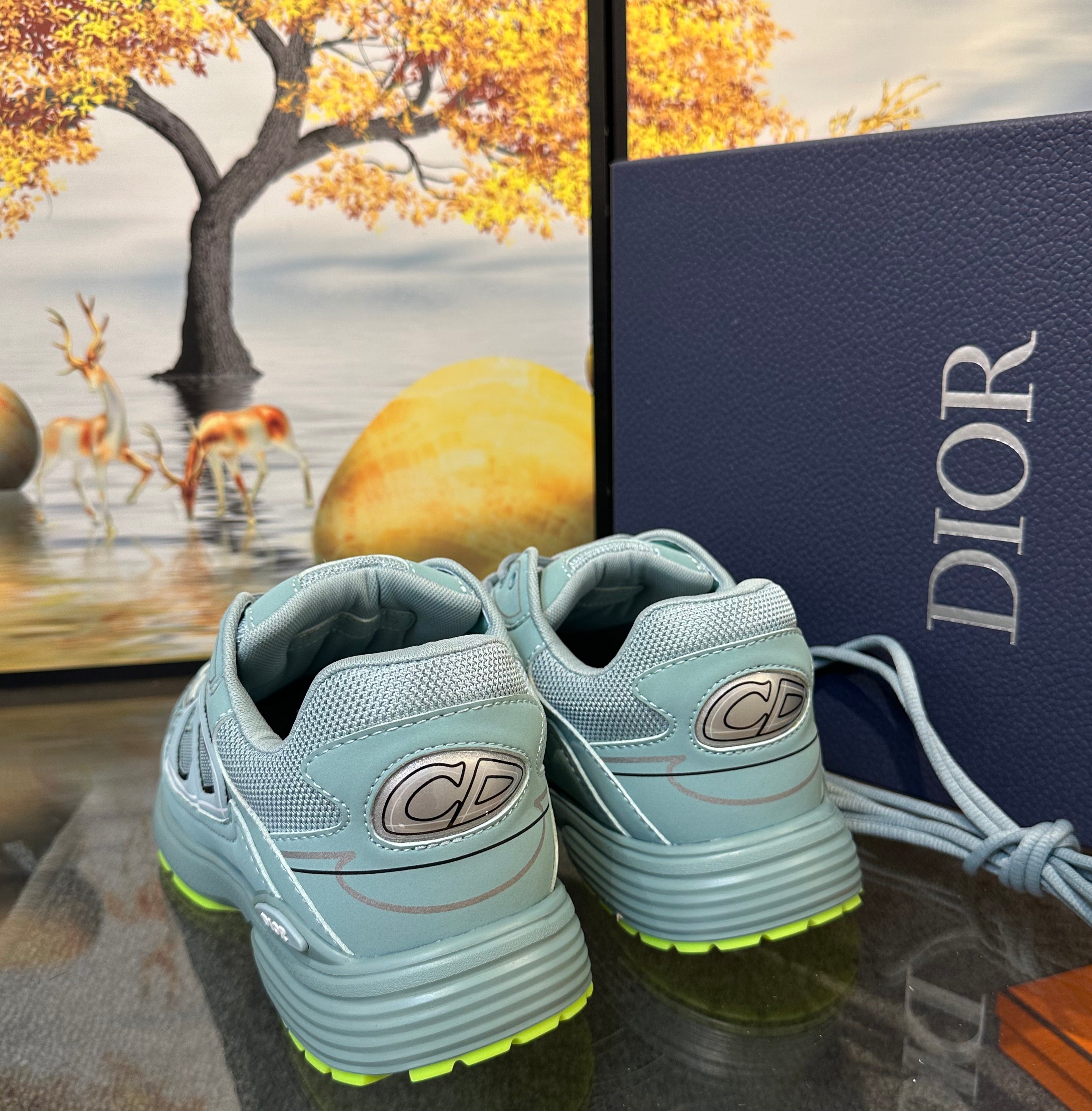 DIOR B30 Sneaker