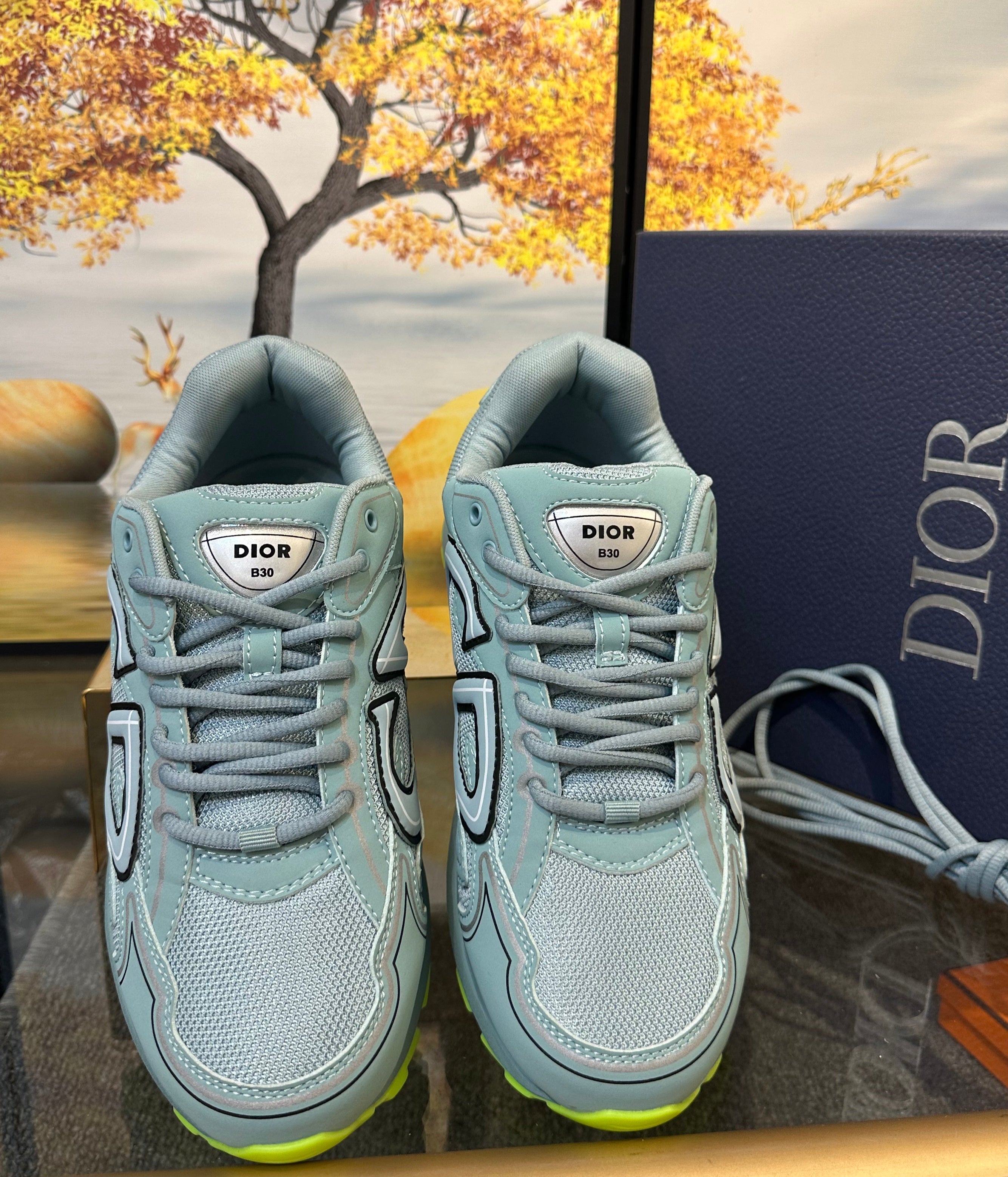 DIOR B30 Sneaker