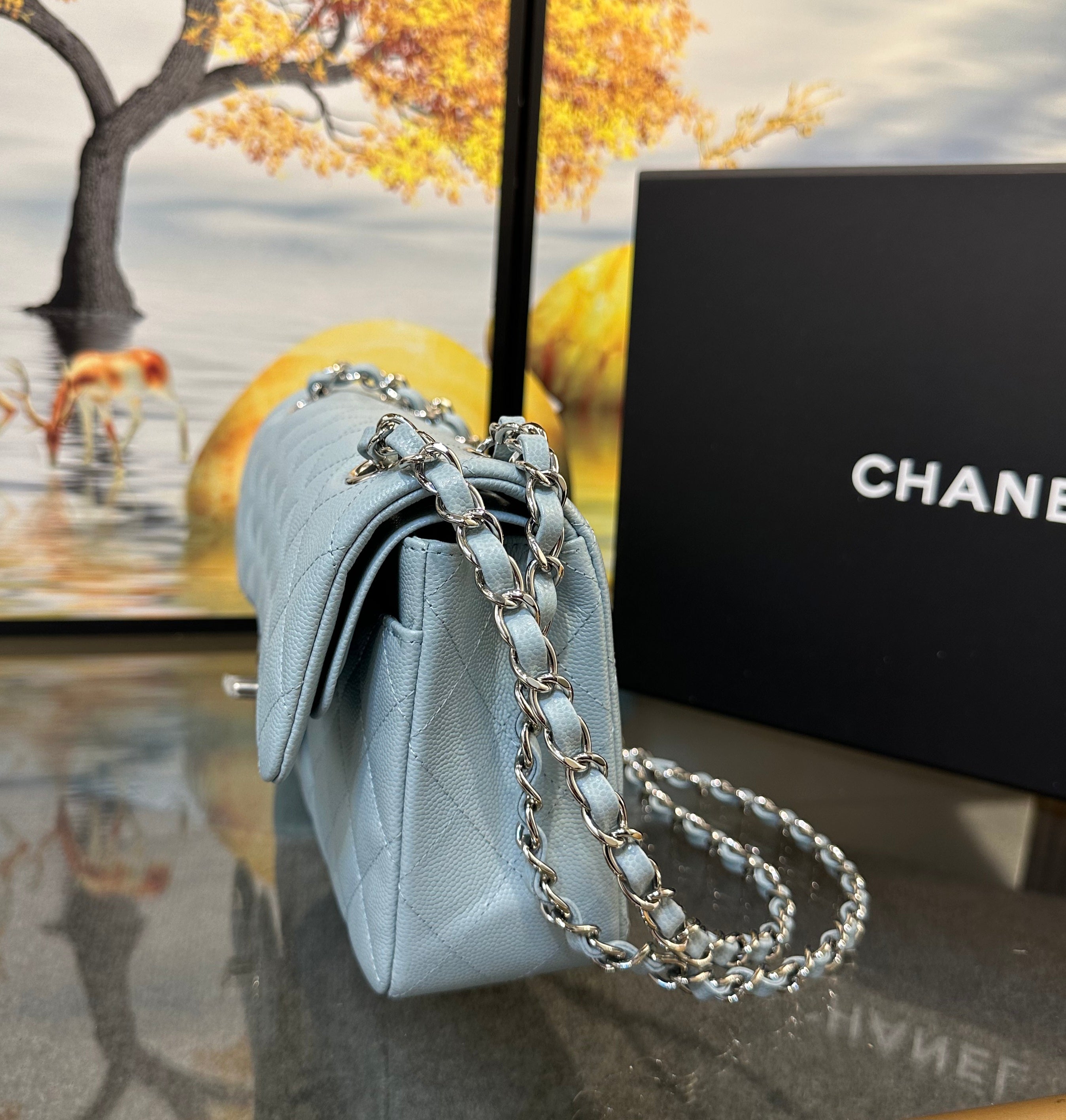 Chanel double flap bag