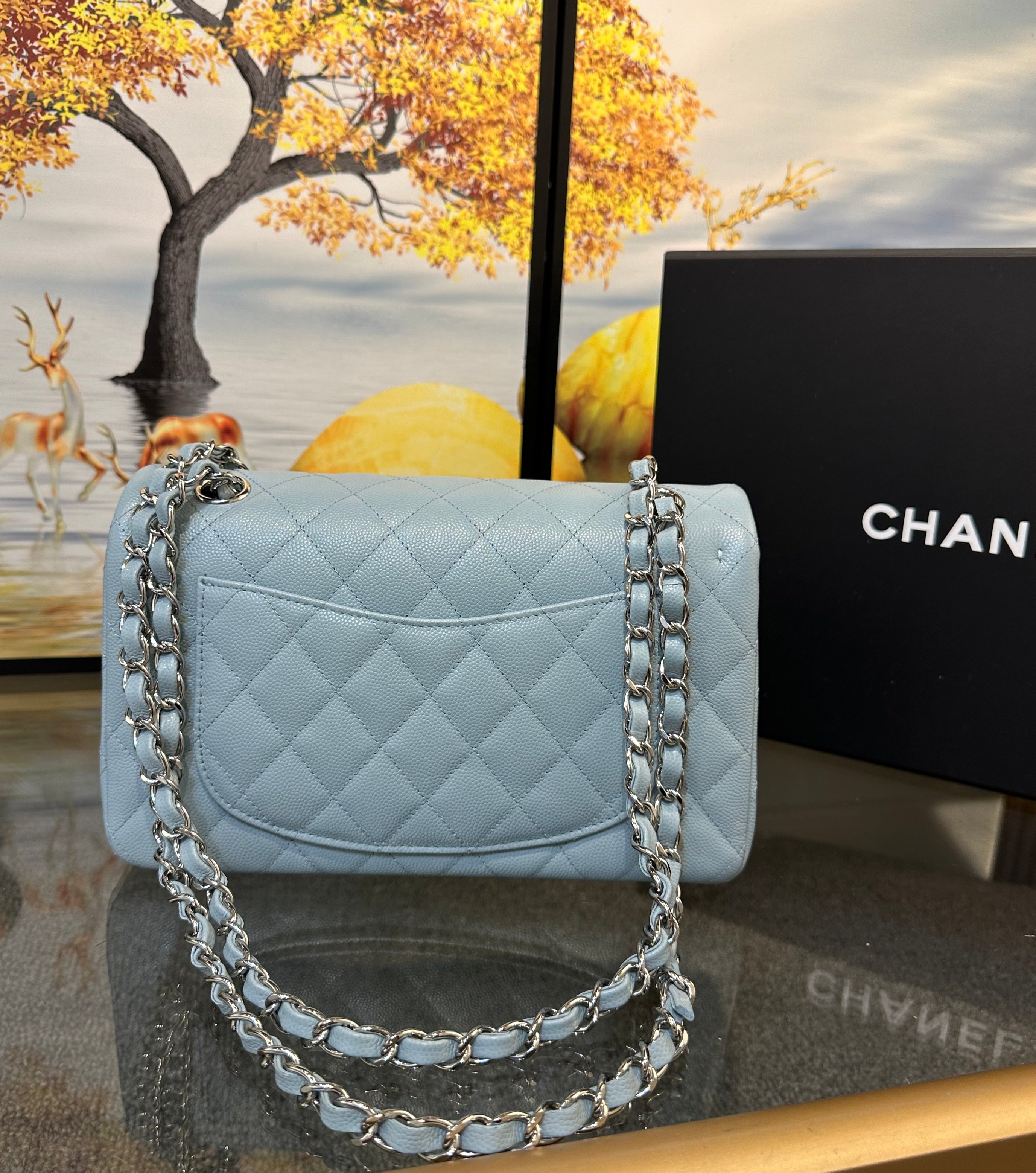 Chanel double flap bag