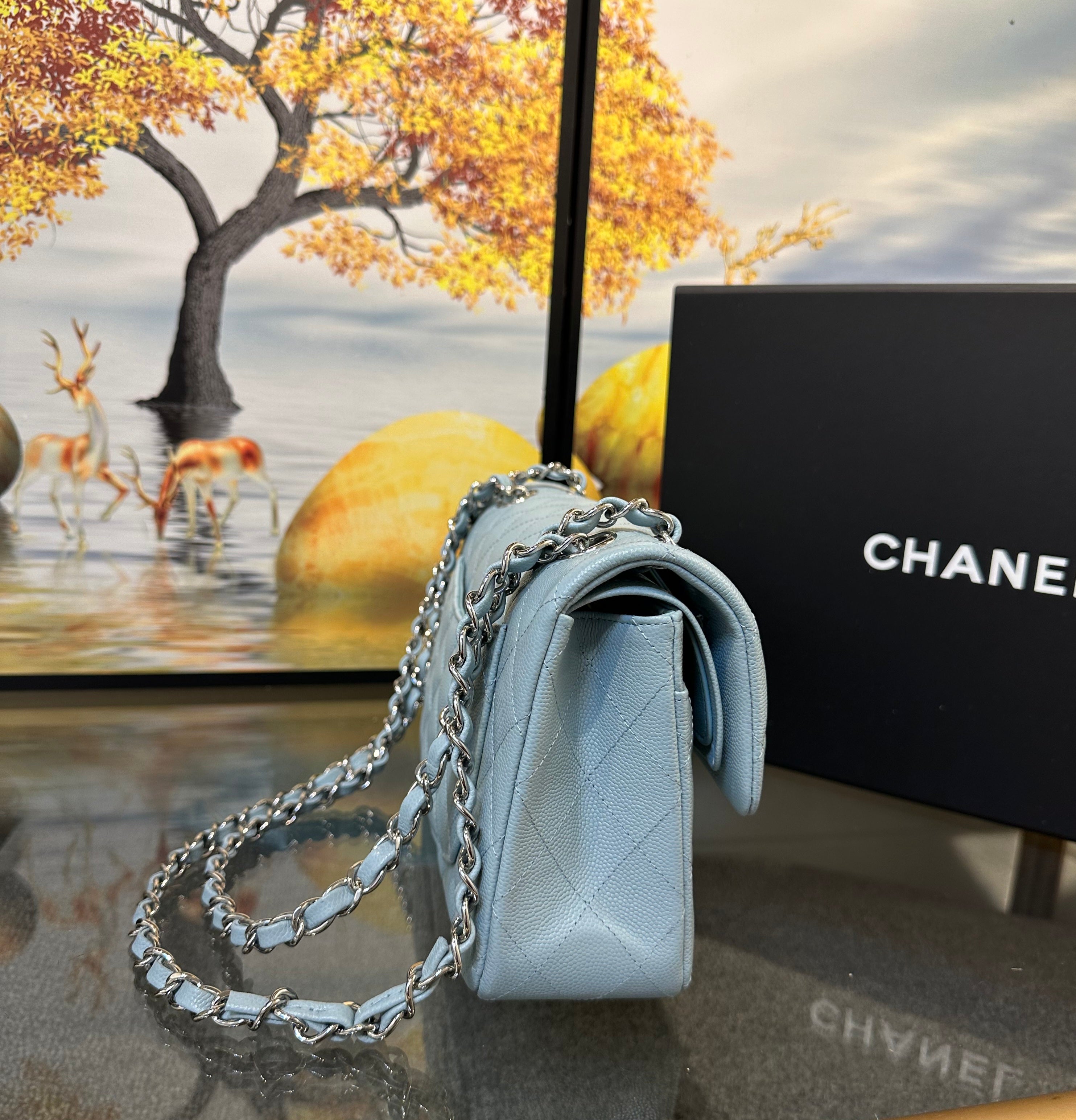 Chanel double flap bag